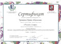 Сертификат участника 1 Троицкой И.А..jpg