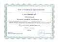 Сертификат Столичное образование Бурмистрова Е.Н.jpg