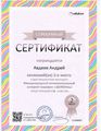 Сертификат Авдеева А..jpg