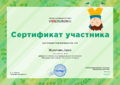 Сертификат Журютина Д.png