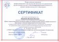 Сертификат ШаманинВП.jpg
