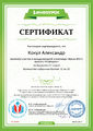 Сертификат участника Инфоурок Кокул Родионова май 2017.jpg