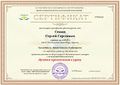 Сертификат Семин С.jpg