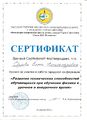 Сертификат Развитие творческих способностей Орлова 2016.jpg