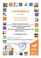 Сертификат мастер-класс ЭБС Юрайт Вдовина февраль 2019.jpg