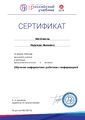Метелкина 2019 год-Сертификат-вебинар-2.jpg