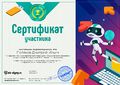 Сертификат Поляков Д.JPG
