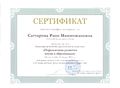 Сертификат участника конференции Саттаровой Р.М.jpg