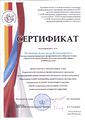 Сертификат-Печёнкин.jpg