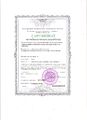Сертификат за пед.разработку Семигин К.С.jpg
