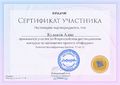 Сертификат Инфоурок Куликова А..jpg
