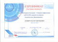 Сертиф.по подготовке к ЕГЭ.jpg