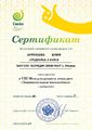 Сертификат участника Всероссийского конкурса Куренновой Ю..jpg