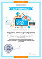Сертификат Гордеева А.С.jpg