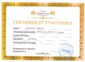 Сертификат участника Полников В.А.jpg