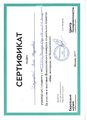 Сертификат Ижунцова.jpg