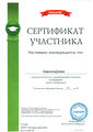 Сертификат Биркина Д.jpg