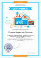 Сертификат Пеньков В.О.jpg