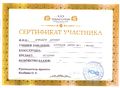Сертификат участника Давыдов Д.В.jpg