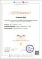 Сертификат участника Страна читающая Маяковский Болдырева Лигай февраль 2017.jpg