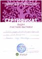 Сертификат участника выставки Стамати О.И. 2015.jpg