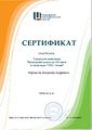 Сертификат участника городской олимпиады ГМЦ Мартынюк Гунидина 2017.jpg