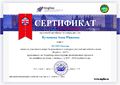 Сертификат участника жюри конкурса Педагог-2017.jpg
