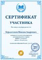 Сертификат участника Бурдастиков М.jpg