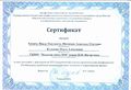 Сертификат 2016 Щестинюк А, Химич П.jpg
