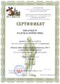 Сертификат участника конференции Шварцберг Н.Б. 2013 МГУ.jpg