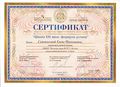 Сертификат Школа XXI века Сенокосова Е.Н.JPG