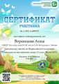 Сертификат Воронцова Анна.jpg