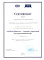 Сертификат вебинар Гавриловой Т.А..jpg