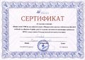 Сертификат участника 2014 Семигин К.С.jpg