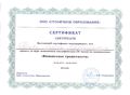 Сертификат Столичное образование Рубцова М.А.JPG
