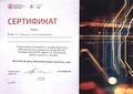 Сертификат день проориентации Родионова 2018.jpg
