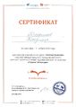 Сертификат участника Страна читающая-Брюсов Трофимов Вдовина октябрь 2016.jpg