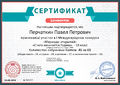 Сертификат проекта Инфоурок Перчаткин Абдулова 2016.jpg