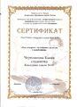 Сертификат Черепанова Е.jpeg