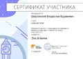 Сертификат Шидловский В.В.jpg