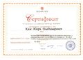 Сертификат АйТи Кима.jpg
