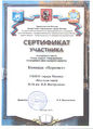 Сертификат Молодежный квест.jpg