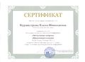 Сертификт участника конференции Бурмистрова Е.Н..jpg