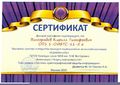 Сертификат2020 Виноградов.jpg
