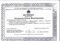 Сертификат разработчика программ ФИРО Чиликина Е.В. 2011.jpg
