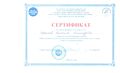 Сертификат ДОгМ ГБПОУ Воробьевы горы Ефремова К.А.jpg