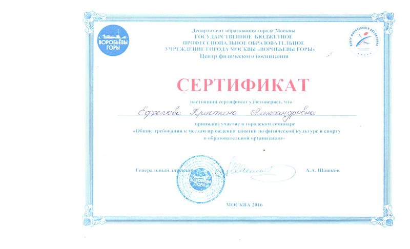 Файл:Сертификат ДОгМ ГБПОУ Воробьевы горы Ефремова К.А.jpg