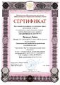Сертификат о публикации Васильев Антон 2012.jpg