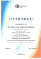 Сертификат Леу А., Карпухин Д..jpg