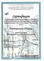 Сертификат международной конференции Ратьковского Н.А.jpg